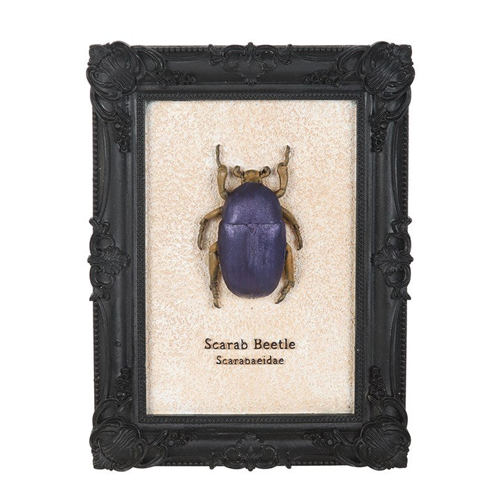 Scarab Beetle Framed Wall Art Print