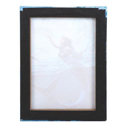 19x25cm Water Element Sorceress Canvas Plaque by Anne Stokes